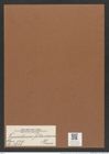 Triceratium fallaciosum Grun. (de-Toni-Nr.: Genus 140, Species 3738) Zeichnungen Sammlung Grunow Mappe 03842 (Herbarium_W_Grunow_drawings_Folder_03842)